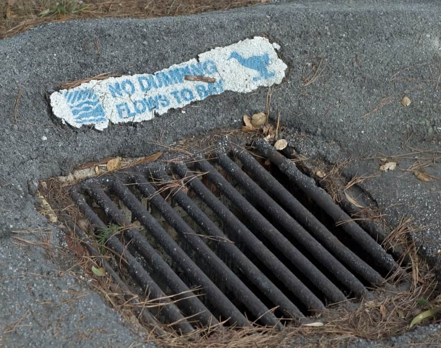 Drain Covers Are They Really Necessary AbsorbentsOnline