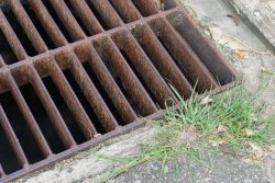 Six Signs that it's Time to Change Your Storm Drain Filter